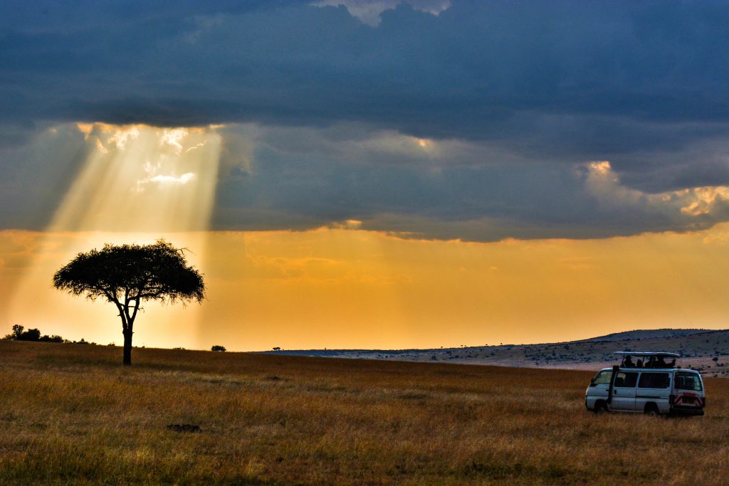 golden hour Masaai mara