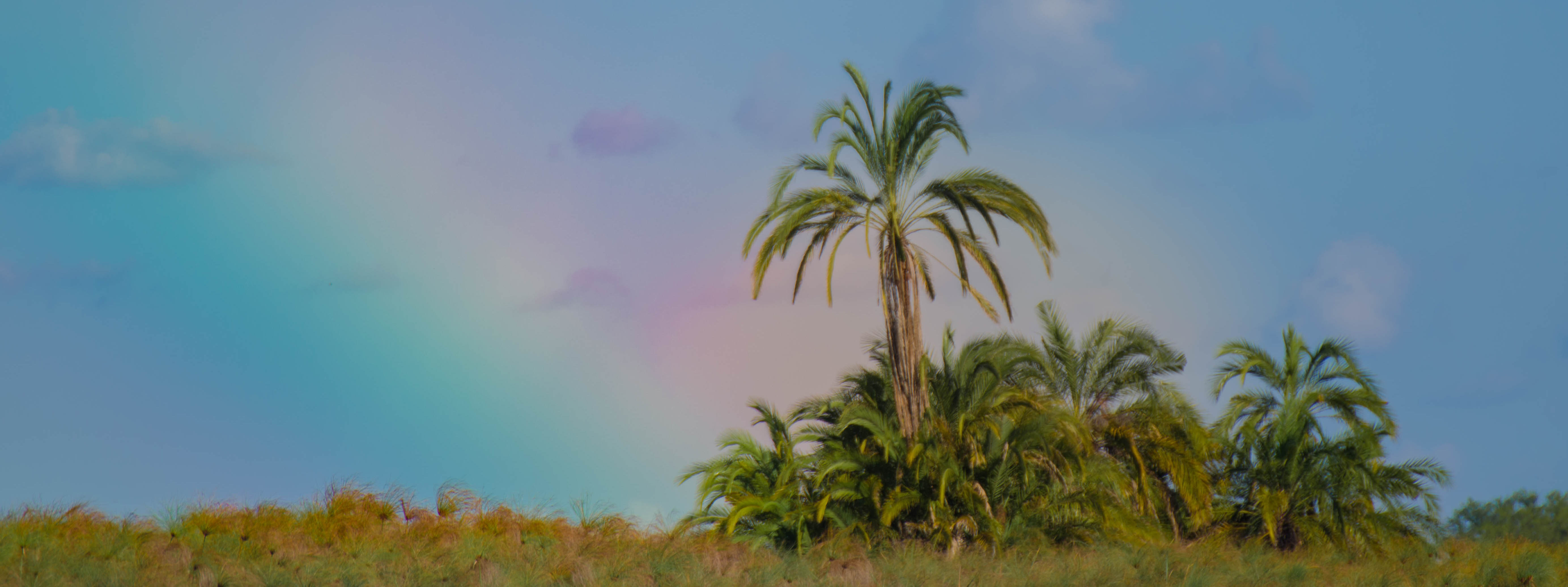 rainbow Botswana