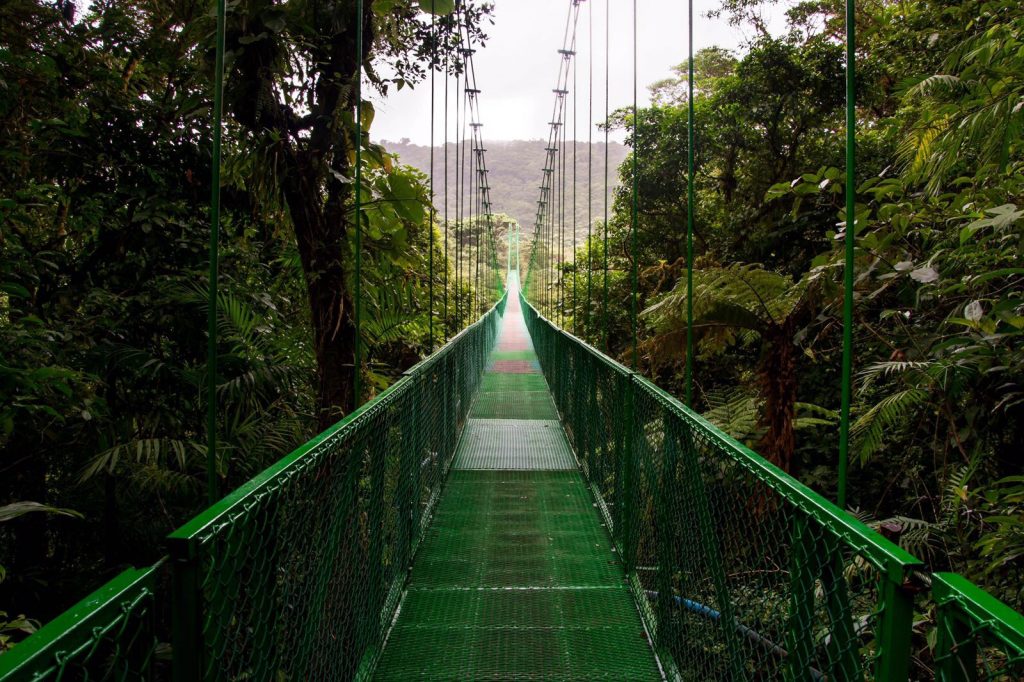 hanging bridge Monteverde selvatura suspension bridges