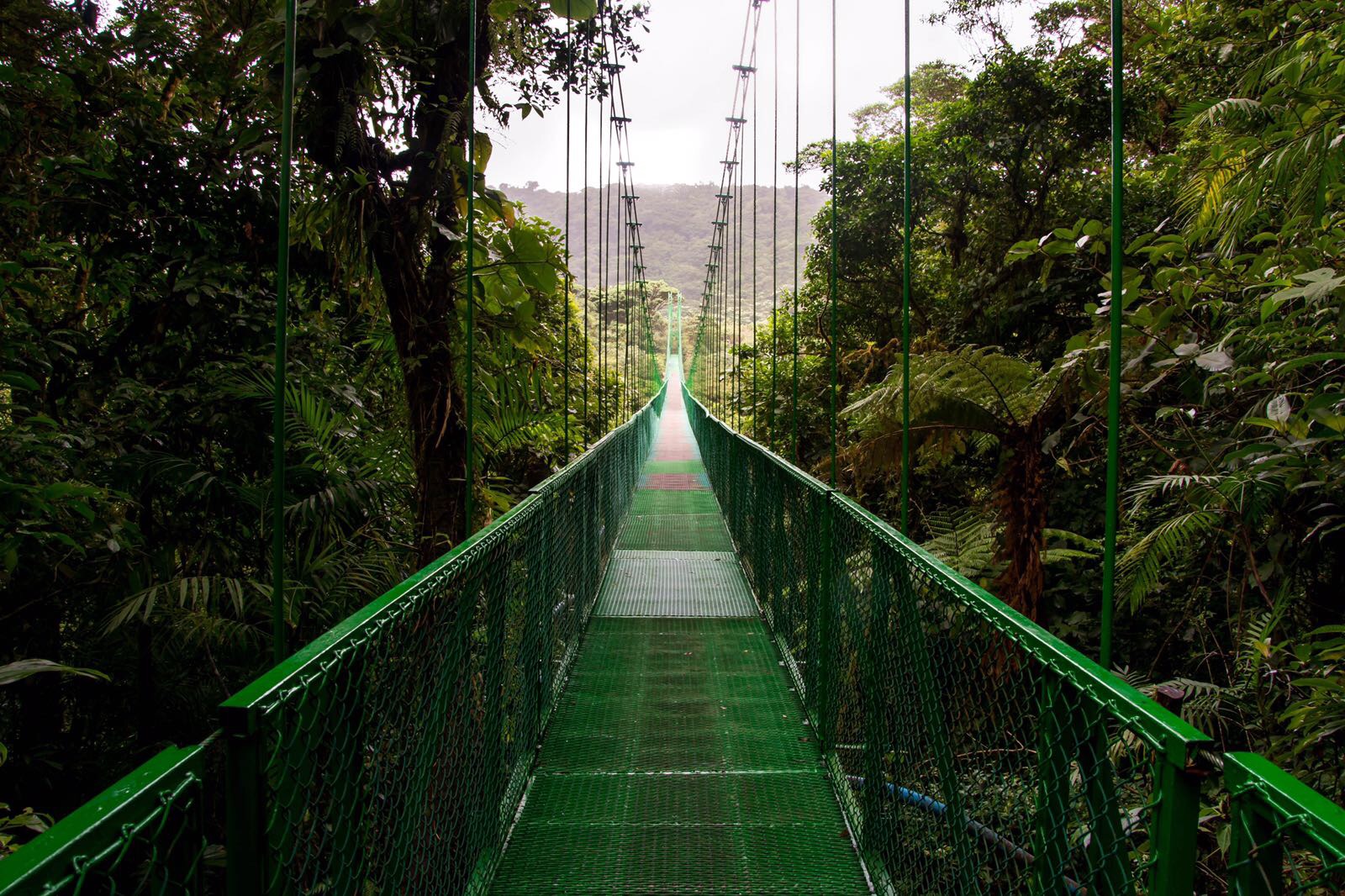 hanging bridge Monteverde Costa Rica