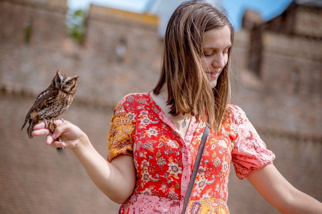 Muiderslot castle falconer owl