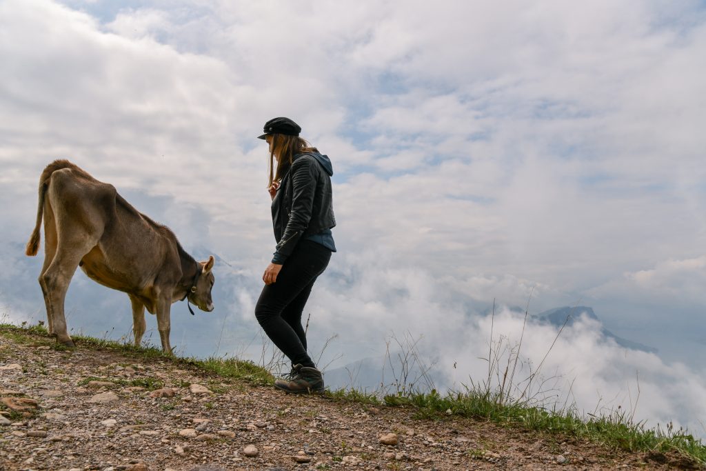 Switzerland cow bell on mountain Rigi